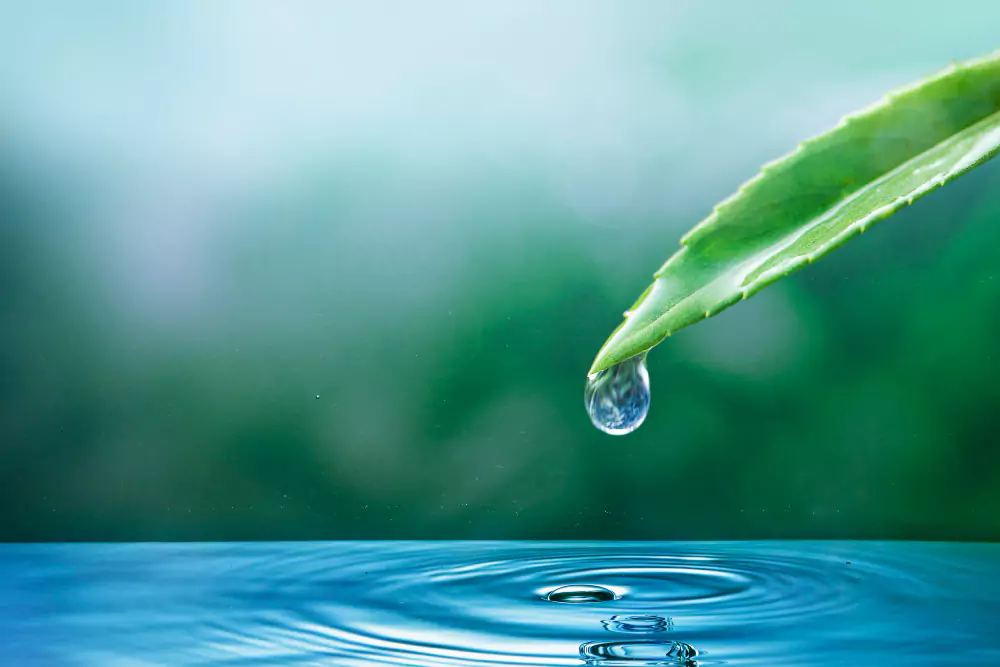 Water: The Origin of Life