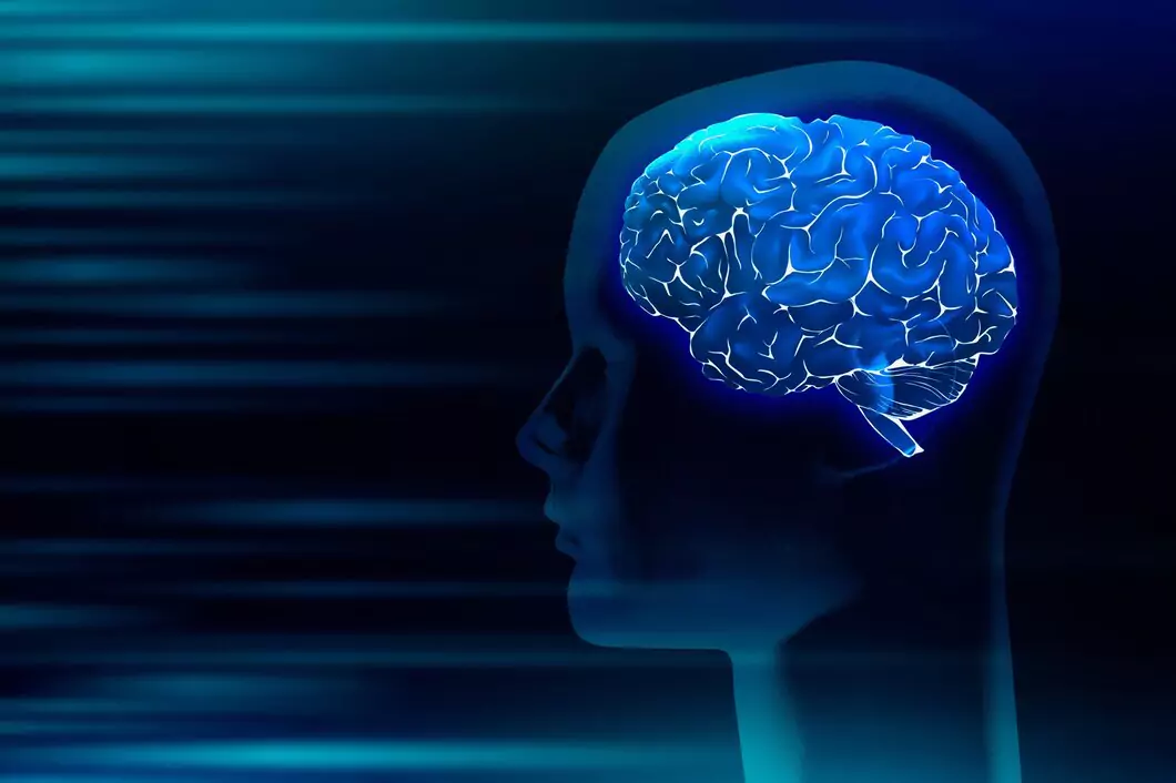 Exact Part of Brain Responsible for Lying